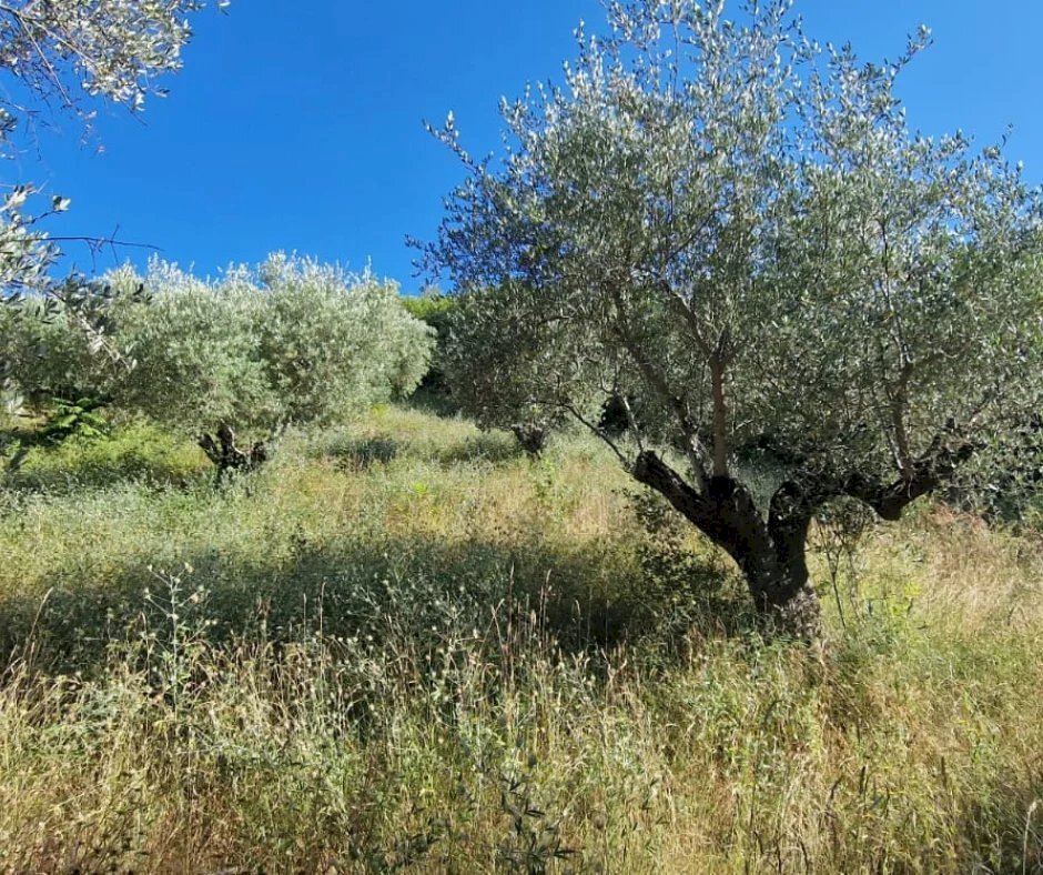Terreno agricolo Via Fonte dell'Abbazia, Montesilvano - foto 1