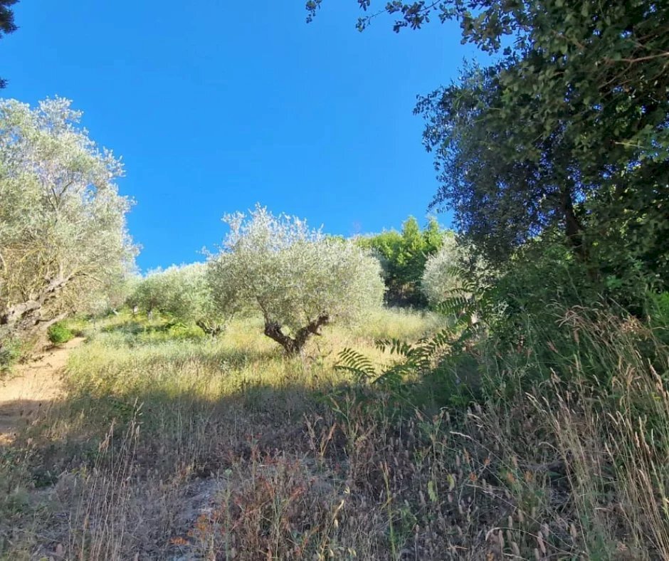 Terreno agricolo Via Fonte dell'Abbazia, Montesilvano - foto 2