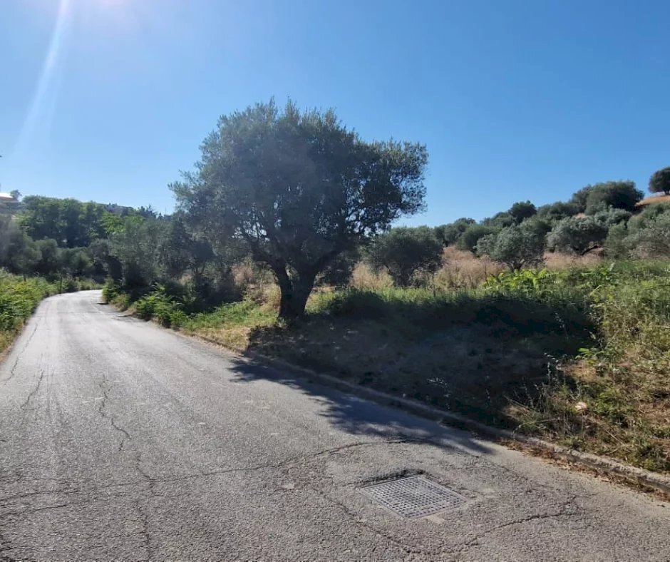 Terreno agricolo Via Fonte dell'Abbazia, Montesilvano - foto 3
