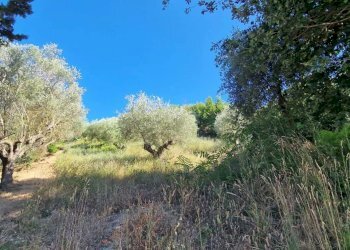 Terreno agricolo Via Fonte dell'Abbazia, Montesilvano - foto 4