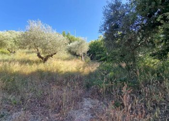 Terreno agricolo Via Fonte dell'Abbazia, Montesilvano - foto 6