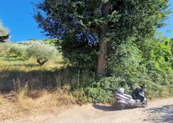 Terreno agricolo Via Fonte dell'Abbazia, Montesilvano - foto 7