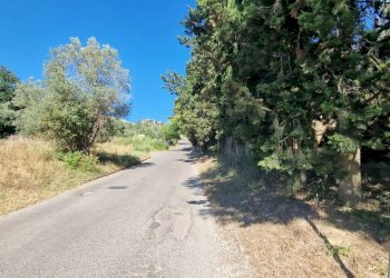 Terreno agricolo Via Fonte dell'Abbazia, Montesilvano - foto 8