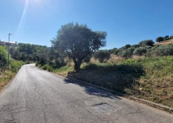 Terreno agricolo Via Fonte dell'Abbazia, Montesilvano - foto 9
