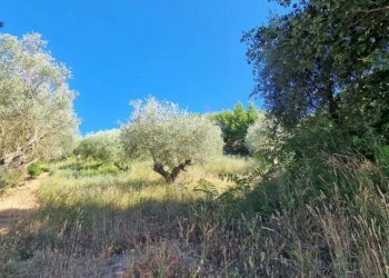 Terreno agricolo Via Fonte dell'Abbazia, Montesilvano - foto 2
