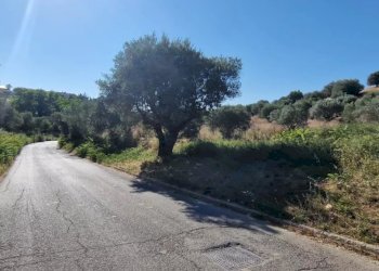 Terreno agricolo Via Fonte dell'Abbazia, Montesilvano - foto 3