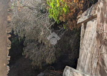 Rustico Via della Madonnetta, Cogorno - foto 22