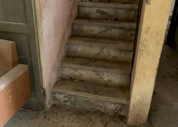 Rustic Imola - photo 8