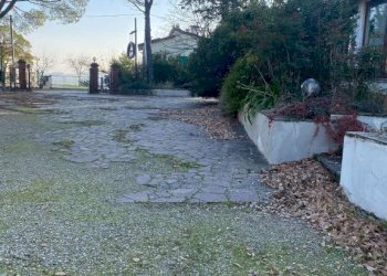 Villa Imola - photo 9