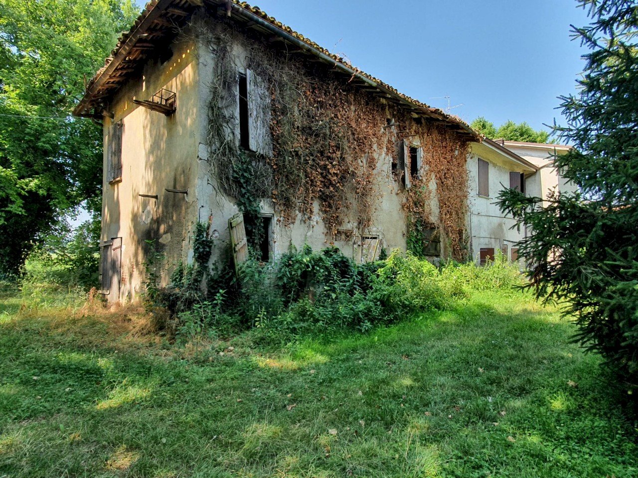 Rustico Reggio nell'Emilia - foto 2