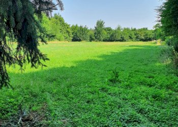 Rustico Reggio nell'Emilia - foto 4