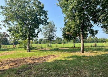 Rustico Reggio nell'Emilia - foto 8