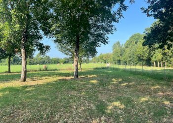 Rustico Reggio nell'Emilia - foto 9