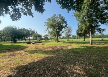 Rustico Reggio nell'Emilia - foto 10