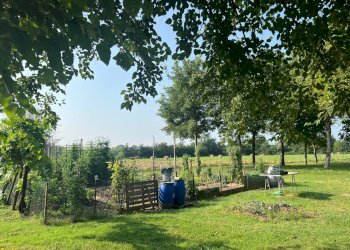 Rustico Reggio nell'Emilia - foto 16