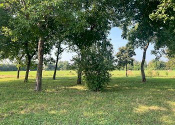 Rustico Reggio nell'Emilia - foto 19