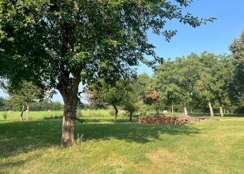 Rustico Reggio nell'Emilia - foto 20