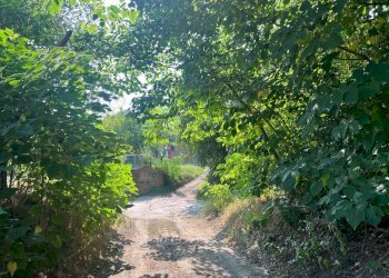 Rustico Reggio nell'Emilia - foto 29