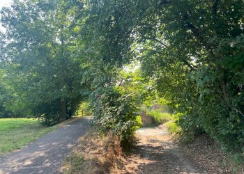 Rustico Reggio nell'Emilia - foto 30