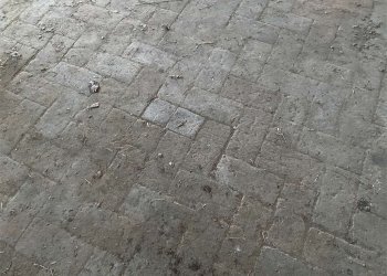 Rustico Modena (zona Baggiovara) - foto 19