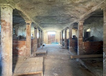 Rustico Modena (zona Baggiovara) - foto 32