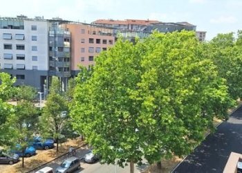 Four-room apartment Torino - photo 18