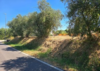 Foto 4 - Casa semi indipendente Via Casabianca, Fucecchio - foto 4