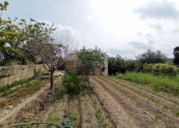 Foto 28 - Rustic COZZO PANTANO
 
S.N.C., Siracusa - photo 28