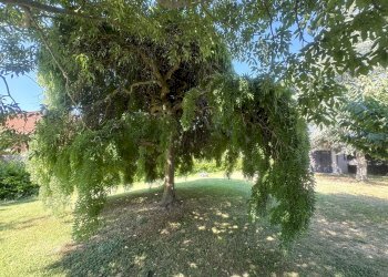 Foto 51 - Villa VIA COLLEPAGANELLO, Fabriano - foto 51