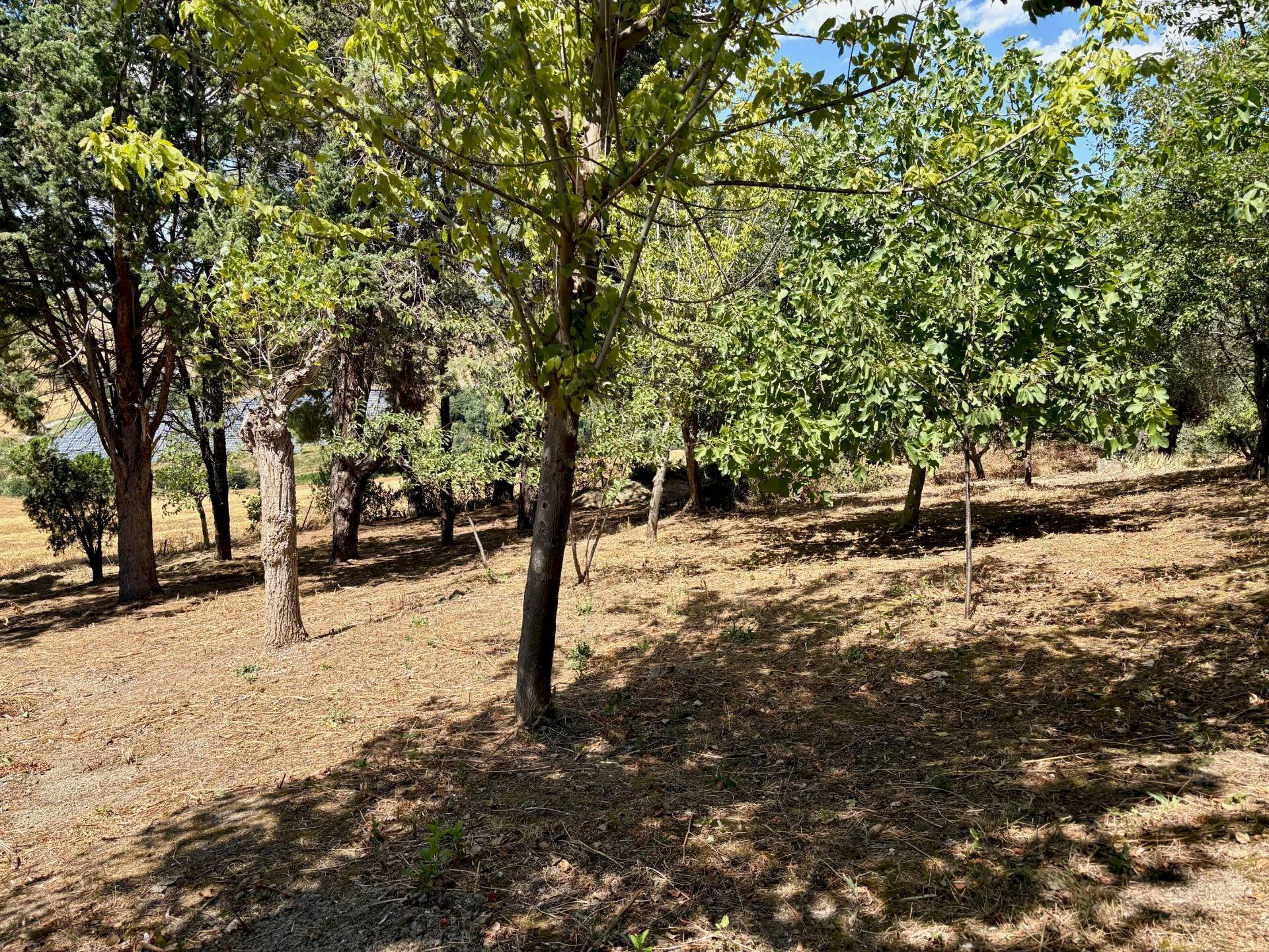 Foto 3 - Casa indipendente via Boccafosca, Belvedere Ostrense - foto 3