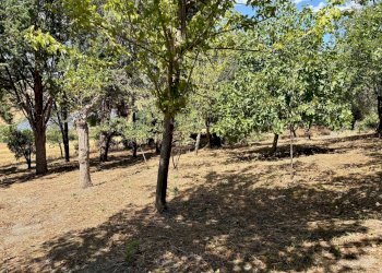 Foto 3 - Casa indipendente via Boccafosca, Belvedere Ostrense - foto 3