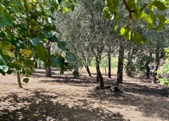 Foto 4 - Casa indipendente via Boccafosca, Belvedere Ostrense - foto 4