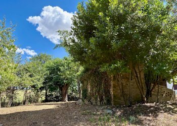 Foto 8 - Casa indipendente via Boccafosca, Belvedere Ostrense - foto 8