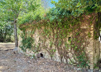 Foto 9 - Casa indipendente via Boccafosca, Belvedere Ostrense - foto 9