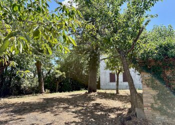 Foto 10 - Casa indipendente via Boccafosca, Belvedere Ostrense - foto 10