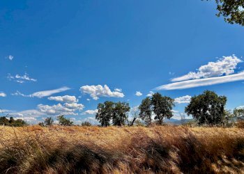 Foto 37 - Casa indipendente via Boccafosca, Belvedere Ostrense - foto 37