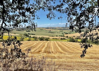 Foto 38 - Casa indipendente via Boccafosca, Belvedere Ostrense - foto 38