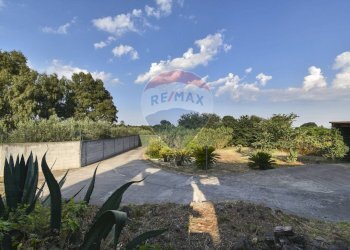 Giardino - Rustico via torrente lavinaio
 
23, Viagrande - foto 5