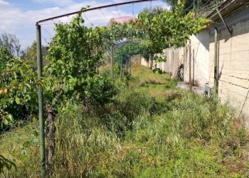 Giardino - Villa Contrada Poggio dell'Aquila
 
snc, Grammichele - foto 6