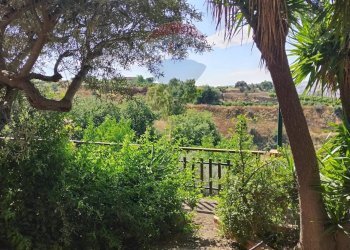 Giardino - Villa Contrada Poggio dell'Aquila
 
snc, Grammichele - foto 7