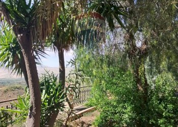 Giardino - Villa Contrada Poggio dell'Aquila
 
snc, Grammichele - foto 22