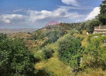 Vista delle montagne - Villa Contrada Poggio dell'Aquila
 
snc, Grammichele - foto 27