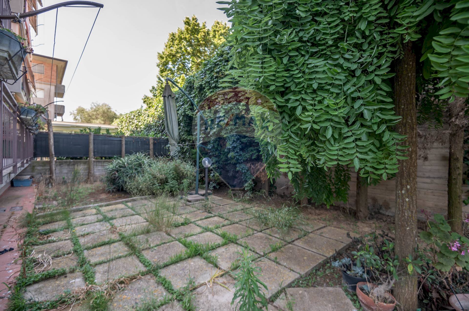 Giardino - Appartamento Via Pietro Novelli
15, Caltagirone - foto 3