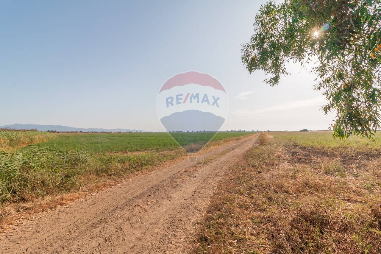 Vista delle montagne - Terreno agricolo strada provinciale S. donato
 
0, Orbetello - foto 2