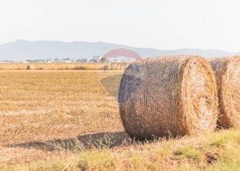 Vista delle montagne - Terreno agricolo strada provinciale S. donato
 
0, Orbetello - foto 1