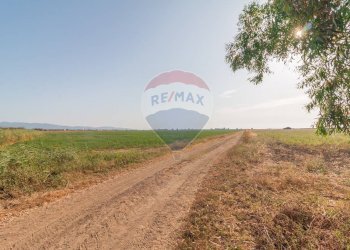 Vista delle montagne - Terreno agricolo strada provinciale S. donato
 
0, Orbetello - foto 2