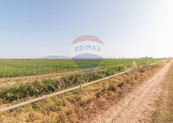 Vista delle montagne - Terreno agricolo strada provinciale S. donato
 
0, Orbetello - foto 3