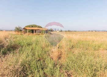 Giardino - Terreno agricolo strada provinciale S. donato
 
0, Orbetello - foto 4