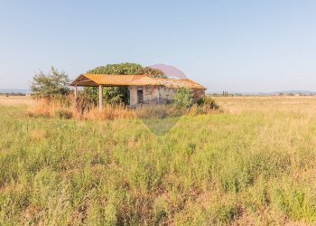 Casa all\'aperto - Terreno agricolo strada provinciale S. donato
 
0, Orbetello - foto 5