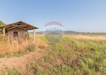 Casa all\'aperto - Terreno agricolo strada provinciale S. donato
 
0, Orbetello - foto 6